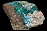 Dioptase, Shattuckite & Calcite Association - Tantara Mine, Congo #146743-1
